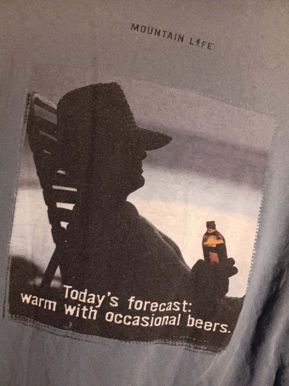 THE MOUNTAIN BEER Long Sleeve Blue T Shirt Large "Todays Forecast" Streetwear
